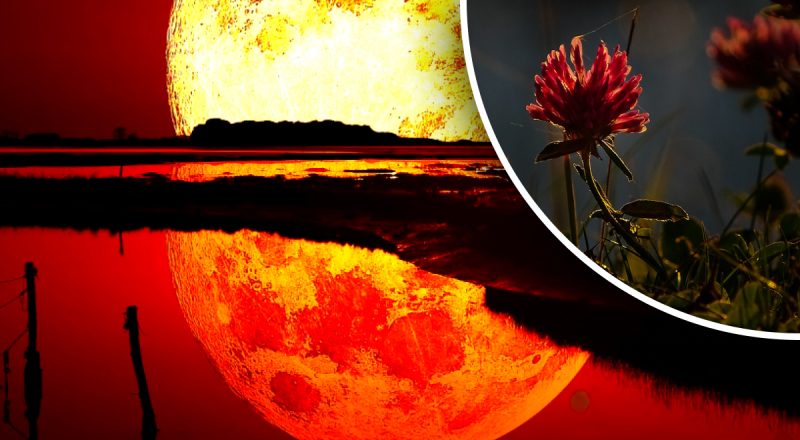 Лунный день 1 ноября 2023: опасная энергия Месяца может отразиться на здоровье