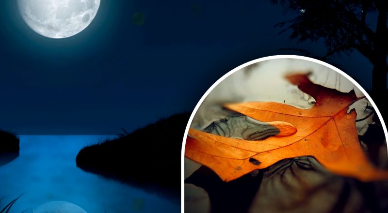 Місячний день 3 листопада 2023: Місяць обіцяє знайти хорошу роботу і розширити бізнес