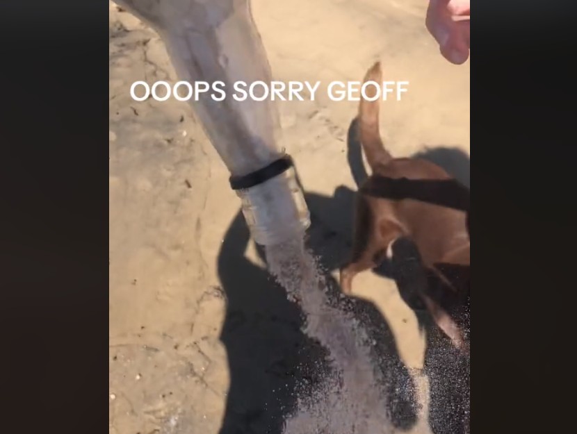 Хлопець з дівчиною знайшли і відкрили послання в пляшці, але сильно пошкодували про це