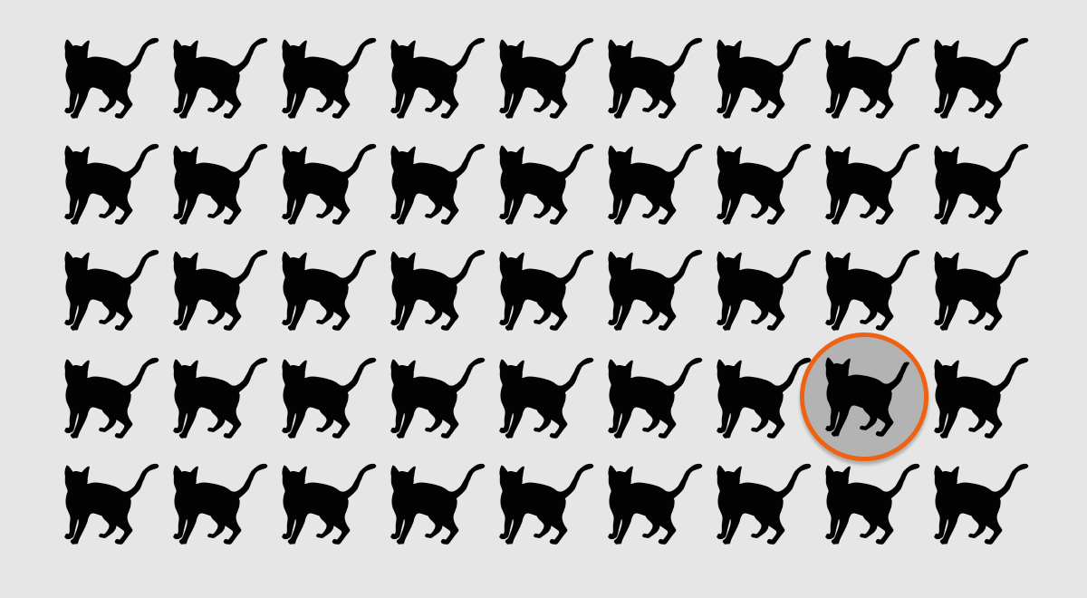 Оптическая иллюзия, кот Оптическая иллюзия, кот