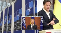 Прем'єр Нідерландів Рютте може стати новим генсеком НАТО - Politico