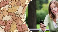 Потрібно знайти собачку серед ведмедиків: весела головоломка для найуважніших