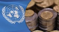 ООН видає гроші українцям: де і хто має право на допомогу