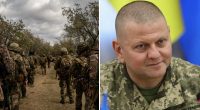 Эксперт прокомментировал слова Залужного об усилении мобилизации в Украине: как должен выглядеть этот процесс