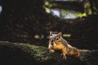 Що не можна робити 16 листопада: названі речі, які в цей день притягнуть проблеми