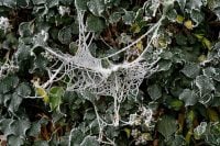 Річ, яка 17 листопада притягне нещастя: прикмети і що не можна робити