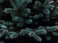 Буде божевільний успіх і достаток: що потрібно зробити 18 листопада