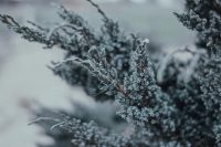 Що не можна робити 4 грудня, щоб не накликати біду: прикмети і заборони дня