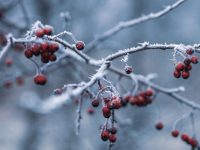 Що потрібно зробити 21 листопада, щоб бути здоровим: прикмети і заборони дня