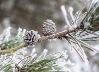 Ворвутся проблемы со здоровьем и беды: что нельзя делать 19 января