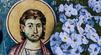 Какой сегодня праздник 6 ноября: кого нужно поздравить в этот день