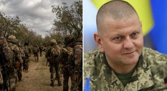 Эксперт прокомментировал слова Залужного об усилении мобилизации в Украине: как должен выглядеть этот процесс