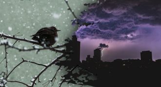 Где ударят грозовые дожди, а где будет падать снег: Украину атакуют штормы