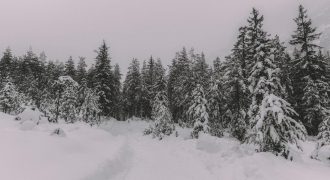 Мороз, снег и гололедица: в Украину ворвался очень сильный шторм