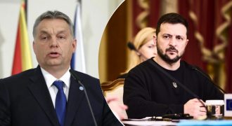 "Слон в комнате": Зеленский ответил Венгрии из-за блокирования вступления в ЕС