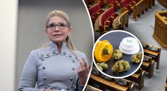 Одна партия заблокировала законопроект о медицинском каннабисе: на рассмотрение уйдут месяцы