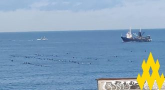 Партизаны Украины в Крыму нашли корабли РФ: где оккупанты их прячут, фото