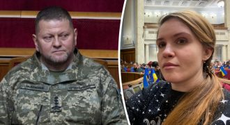Нардеп Безуглая предложила уволить Залужного и вызвала скандал в сети