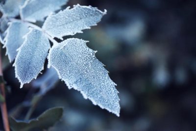 прикмети, погода прикмети, погода