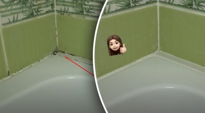 Чим прибрати цвіль з герметика Чим прибрати цвіль з герметика