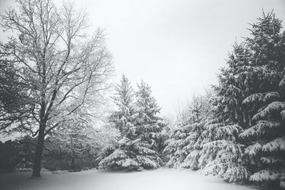 Влупить 6-градусний мороз: сніг та ожеледиця буде майже по всій Україні