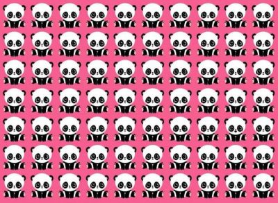 Головоломка для найуважніших: треба за 7 секунд знайти панду