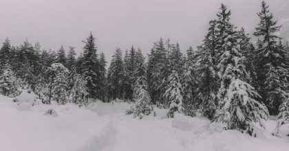 Мороз, снег и гололедица: в Украину ворвался очень сильный шторм