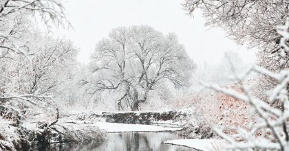 Налетит снег и придут морозы: в Украину резко ворвется похолодание