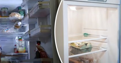 Геніальний спосіб підірвав Мережу: нержавійка сяє і холодильник має вигляд як новий