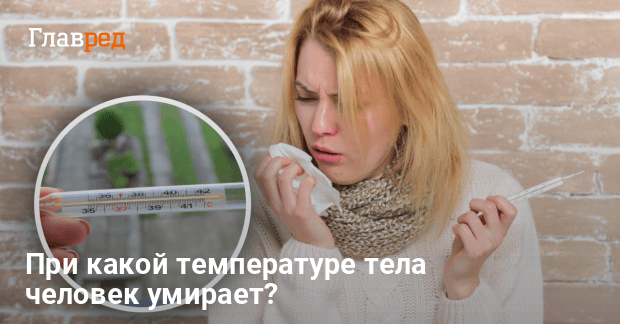 Почему при температуре пропадает аппетит?