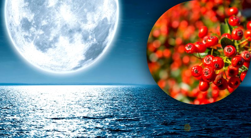 Місячний день 4 листопада 2023: утримайтеся від серйозних рішень і ділових контактів