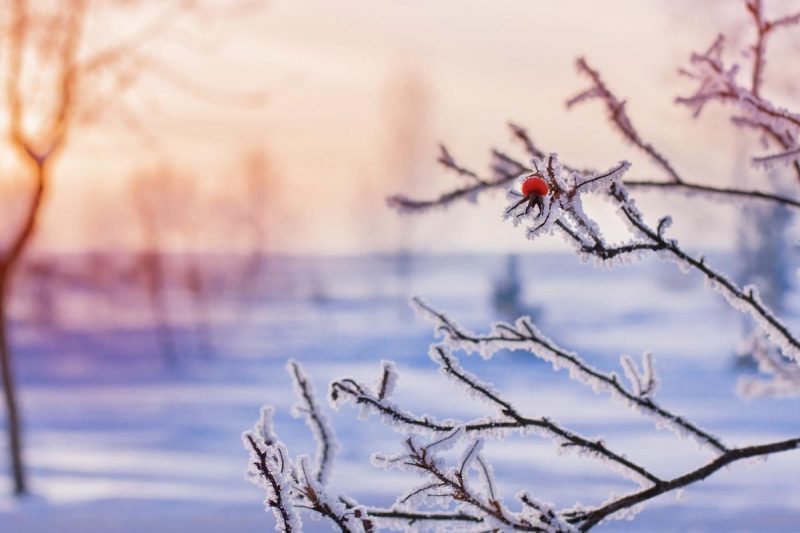 Врежет -4 и окутает туман: в Украину врывается зимняя стужа