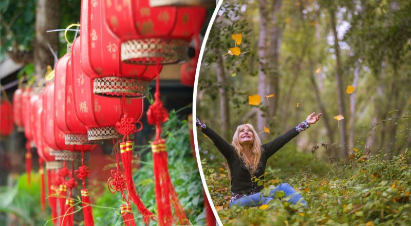 Китайський гороскоп на сьогодні 13 листопада: Щурам - клопоти, Кози - тримайте себе в руках