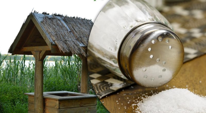 Зачем сыпать соль в колодец: вы просто упадете, узнав неожиданный ответ