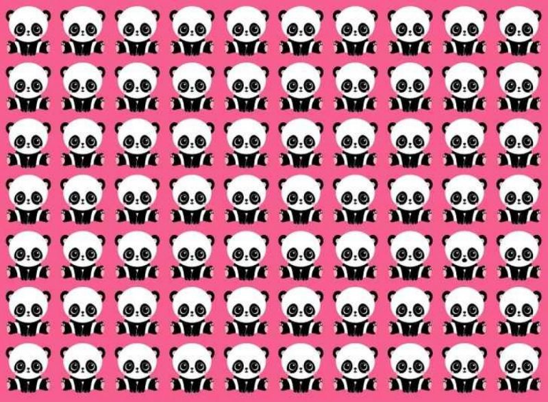 Головоломка для найуважніших: треба за 7 секунд знайти панду