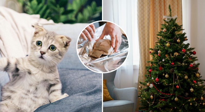 Женщина показала гениальный лайфхак из фольги, который не позволит коту залезть на елку