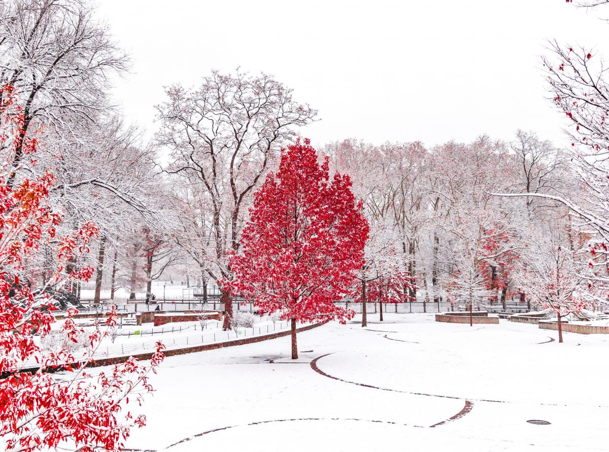 Погода, природа, снег, зима Погода, природа, снег, зима