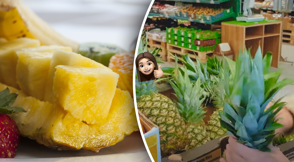 Как белорусам вырастить дома ананас? Начать нужно прямо сейчас - taimyr-expo.ru