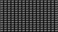 Головоломка для тих, у кого чудовий зір: треба знайти цифру 257 за 10 секунд