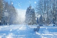 Украину накроет циклон из Турции: синоптик назвала дату сильных осадков