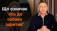 Що означає ось де собака заритий: мовознавець пояснив популярний фразеологізм