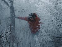 Штормовий вітер, хуртовина та сніг: в Україні сильно псується погода