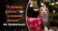 Як правильно – з Новим роком чи з новим роком: Авраменко вказав на помилку