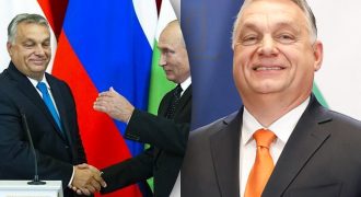 Что Зеленский хочет обсудить с Орбаном: в ОП рассказали о темах переговоров