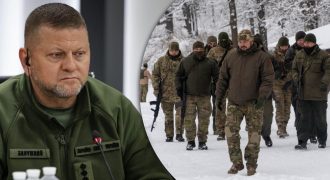 У Зеленского впервые назвали причину увольнения Залужного