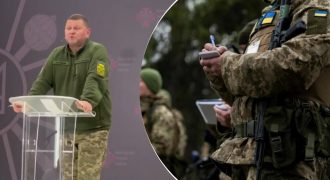 Залужный выступил против мобилизации заключенных и судимых - СМИ