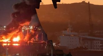 Во время удара по "Новочеркасску" в порту было судно с краденым украинским зерном - СМИ
