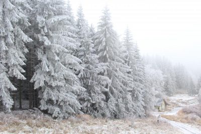 В Україні погіршується погода: де засипле снігом та налетить холоднеча