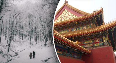 Китайський гороскоп на 12 грудня