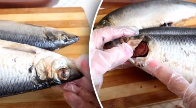 Якісна риба виглядає так: як вибрати оселедець Якісна риба виглядає так: як вибрати оселедець